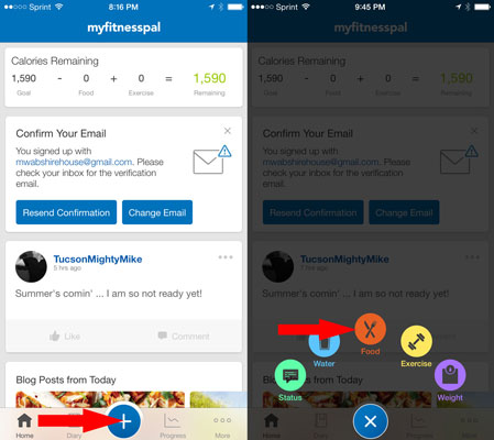 How To Use The Myfitnesspal Food Diary 449x400 How To Use The Myfitnesspal Food Diary