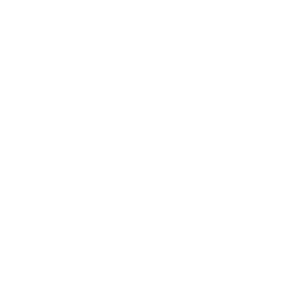 256x256 White Mysql Icon