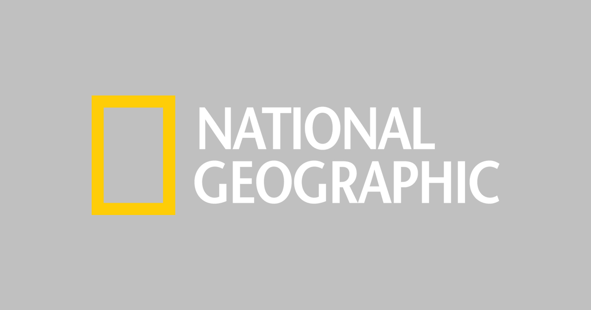 1200x630 National Geographic Logo Vector Png Transparent National