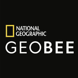 256x256 Geobee Challenge