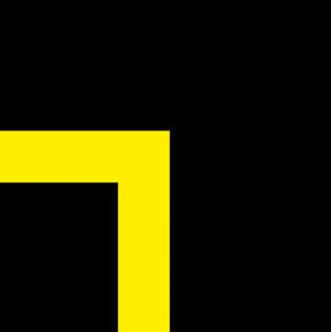 300x301 Icon Pop Brand Image