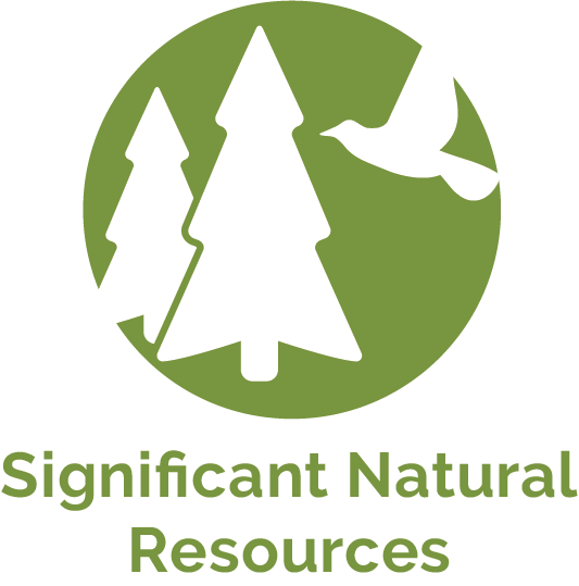 Natural Resources Icon at Vectorified.com | Collection of Natural ...