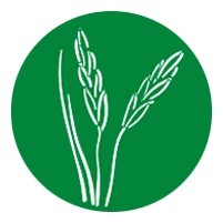 Agriculture Natural Resources 201x201 Agriculture Natural Resources