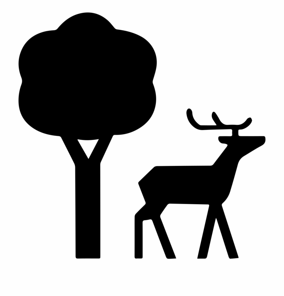 920x958 Nature Icon Png Free Png Images Clipart Download