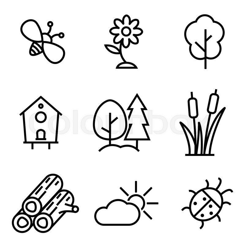 800x800 Vector Line Nature Icons Set Nature Stock Vector Colourbox