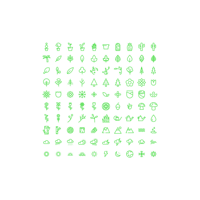 800x800 Dribbble
