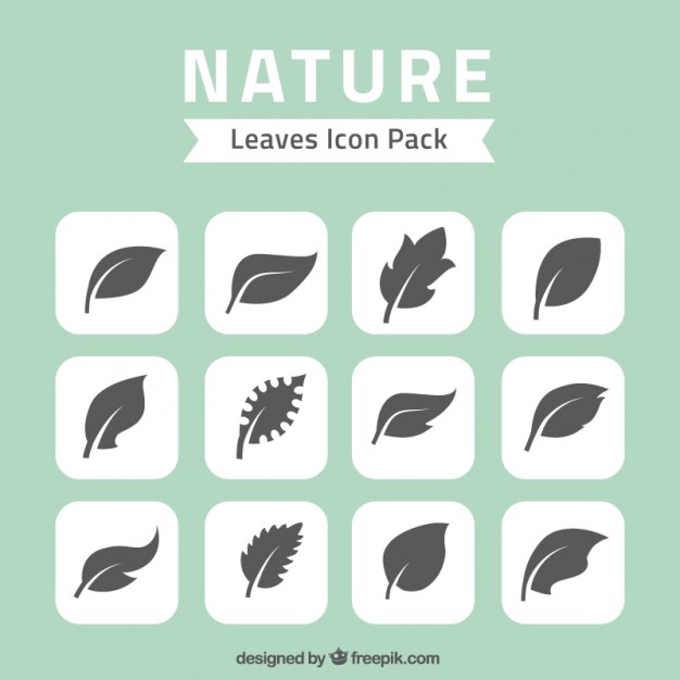 626x626 Nature Leaves Icons Pack Vector Free Download