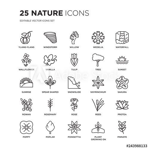 500x500 Set Of Nature Linear Icons Such As Ylang Ylang, Windstorm