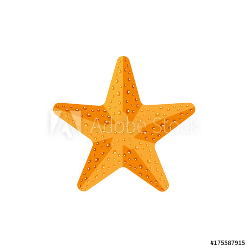500x500 Flat Style Textured Starfish, Star Fish Icon, Symbol, Decoration
