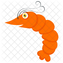 256x256 Nautilus Icon Of Flat Style