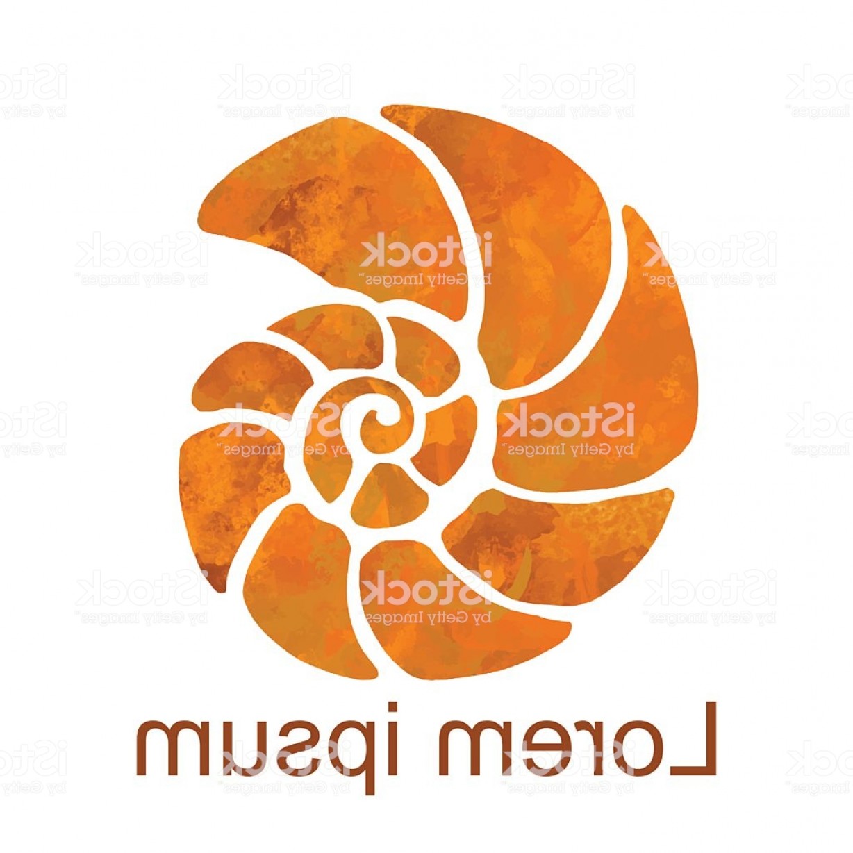 1228x1228 Watercolor Nautilus Shell Icon Gm Createmepink