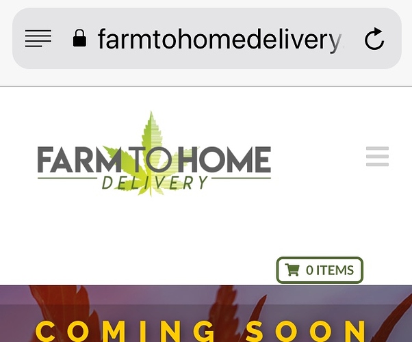 602x500 Adding Cart Icon Only In Mobile Navbar