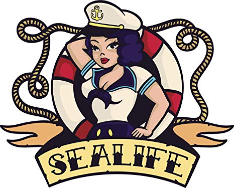 466x375 Navy Seal Female Sealite Vintage Icon Vinyl Sticker