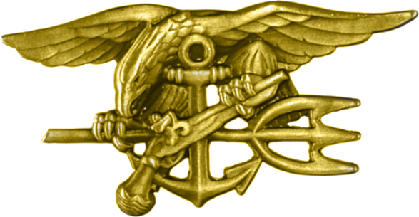 587x305 Special Warfare Insignia
