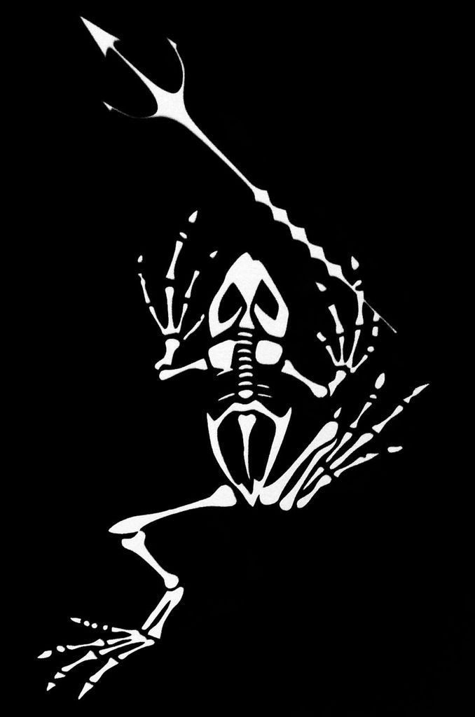 678x1024 Us Navy Seal Frogman Bfa Navy Seal Tattoos, Navy Seals, Seal