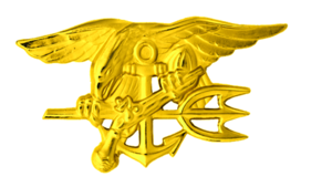 300x160 What Does The Navy Seal Trident Mean