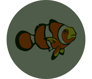 300x257 Nemo Icon Hover