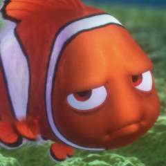 240x240 Nemo Icons Tumblr