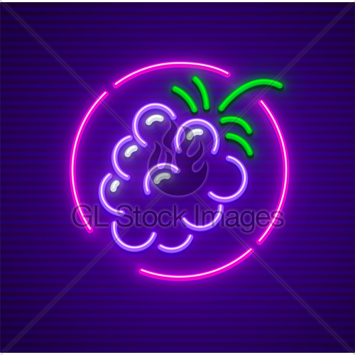 500x500 Blackberry Berry In Circle Neon Icon Sign Gl Stock Images