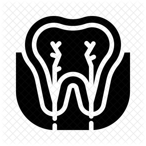 512x512 Tooth Nerve Icon Of Glyph Style