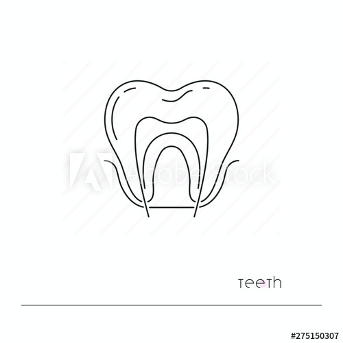 500x500 Tooth Icon Isolated Single Thil Line Symbol Of Tooth With Nerve