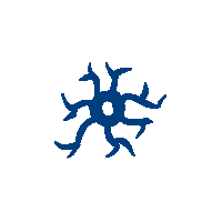 200x200 Nerve Icon Brizbra Spine