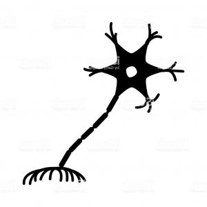 300x300 Nerve Cell Icon Neuron Vector Clipart Hoodamathrun