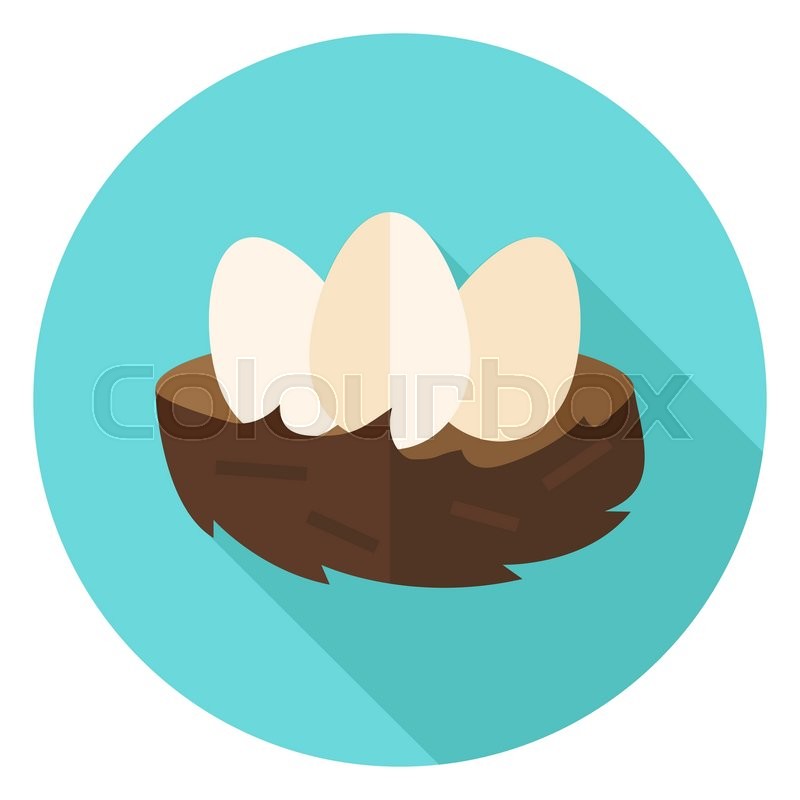 800x800 Nest With Eggs Circle Icon Flat Stock Vector Colourbox