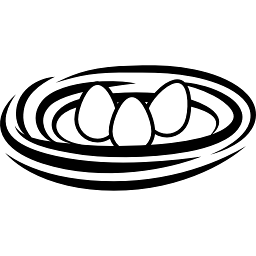 512x512 Nest With Eggs Icons Free Download