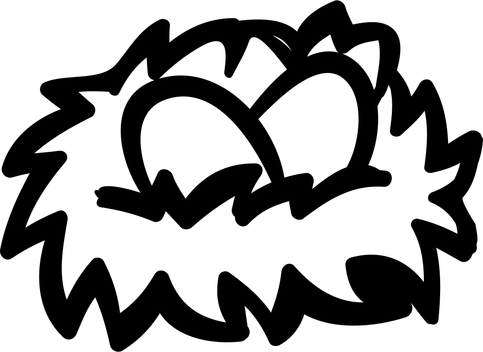 980x714 Birds Eggs On A Nest Png Icon Free Download