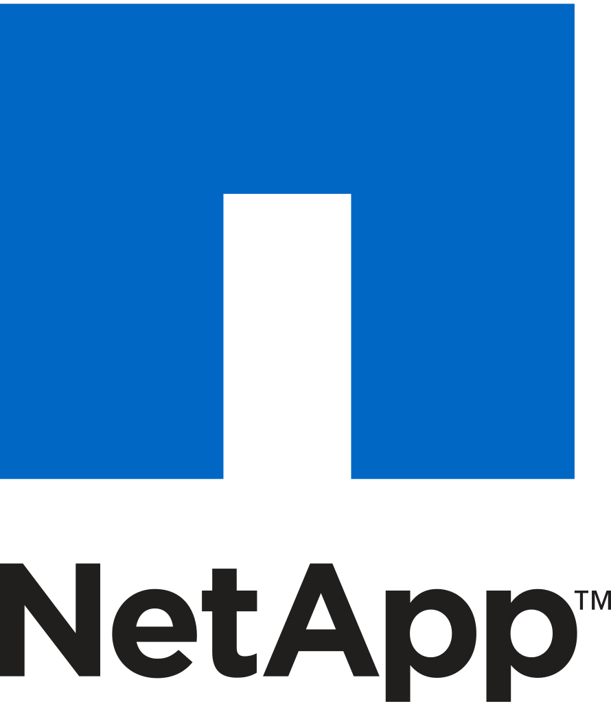 890x1024 Icon Request Icon Netapp Issue