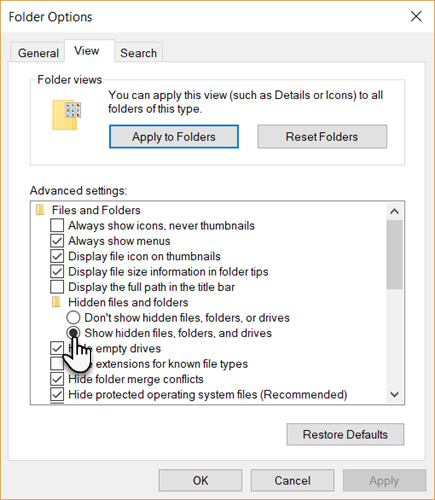 435x500 Where To Find The Netflix Download Folder Location