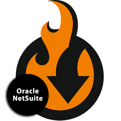 Netsuite Integration Add On For Magento Magento Extensions 500x500 Netsuite Integration Add On For Magento Magento Extensions