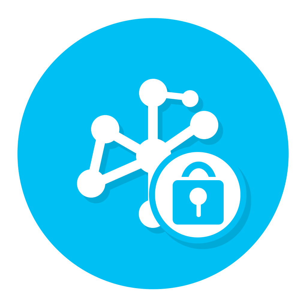 1024x1024 Network Security Icon