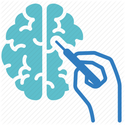 400x400 Neurology Png