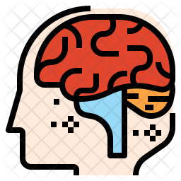256x256 Brain Neurology Icon Of Flat Style