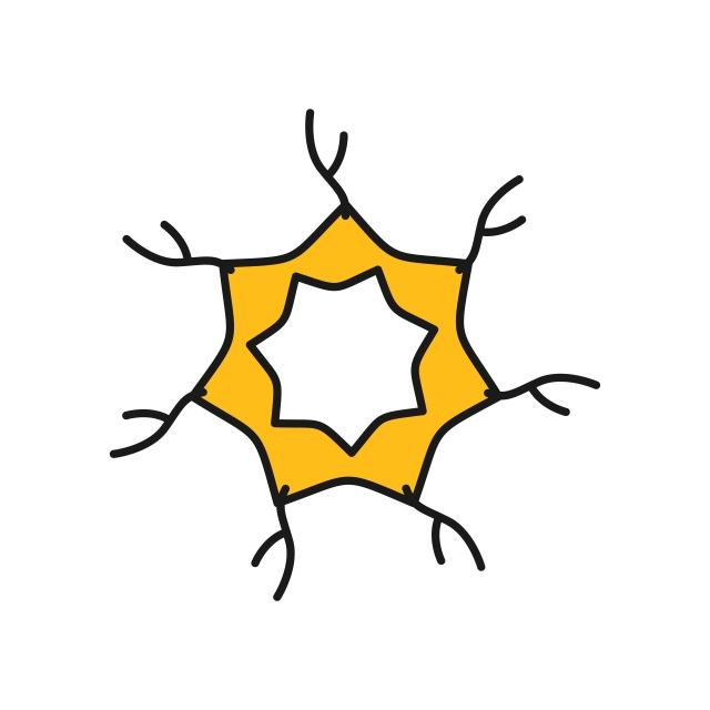 640x640 Neuron Icon For Your Project, Neuron, Network, Web Png And Vector