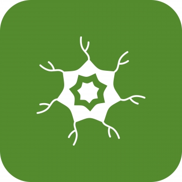 360x360 Neuron Png, Vector, And Clipart With Transparent Background