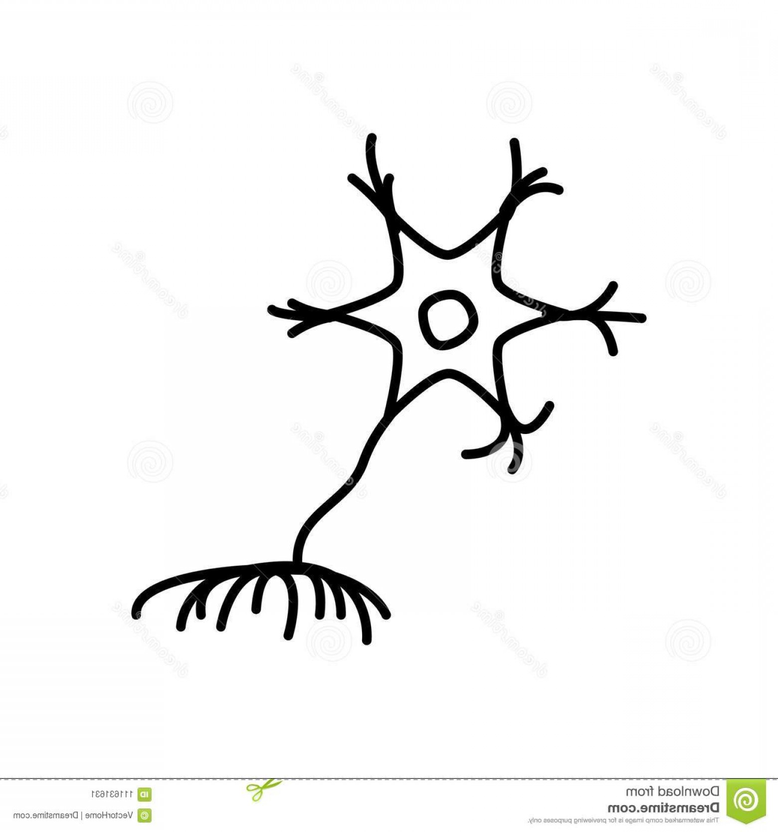 1560x1668 Neuron Vector Black And White Hoodamathrun