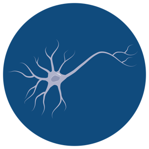 308x308 Neuron Icon Png Png Image