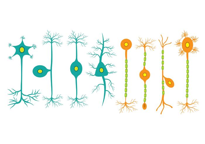 700x490 Neuron Icons