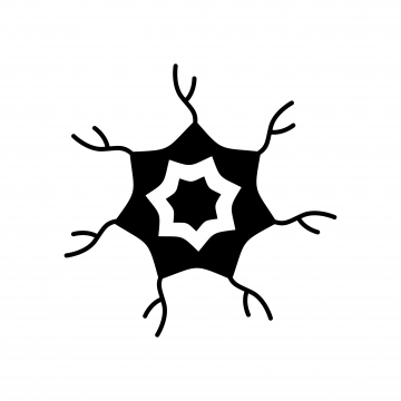 360x360 Neurons Png Images Vector And Free Download