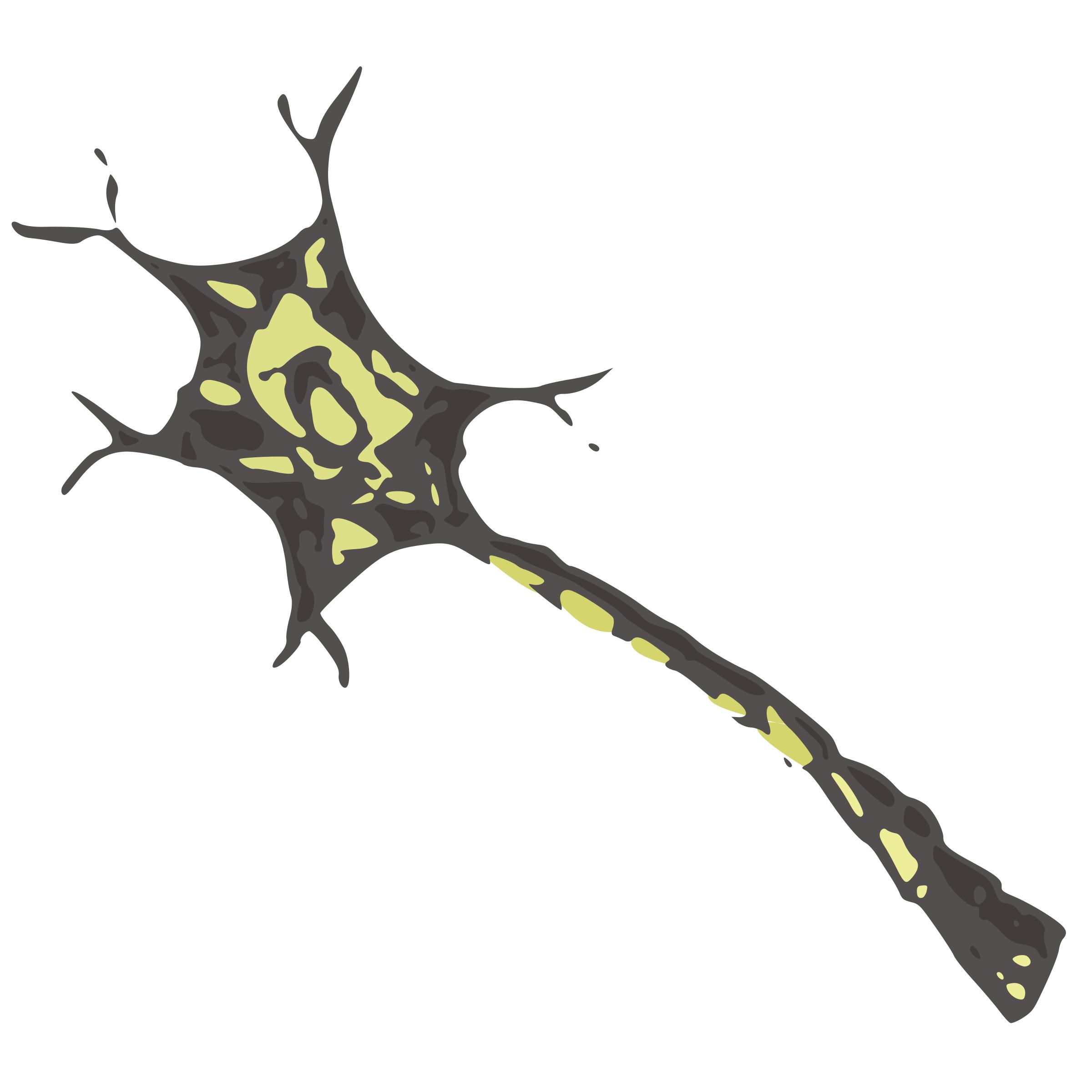 2400x2400 Neuron Icons Png
