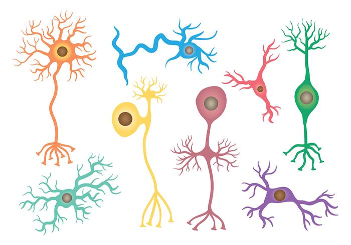 700x490 Free Neuron Icons Vector
