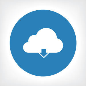 300x300 New Hire Survey