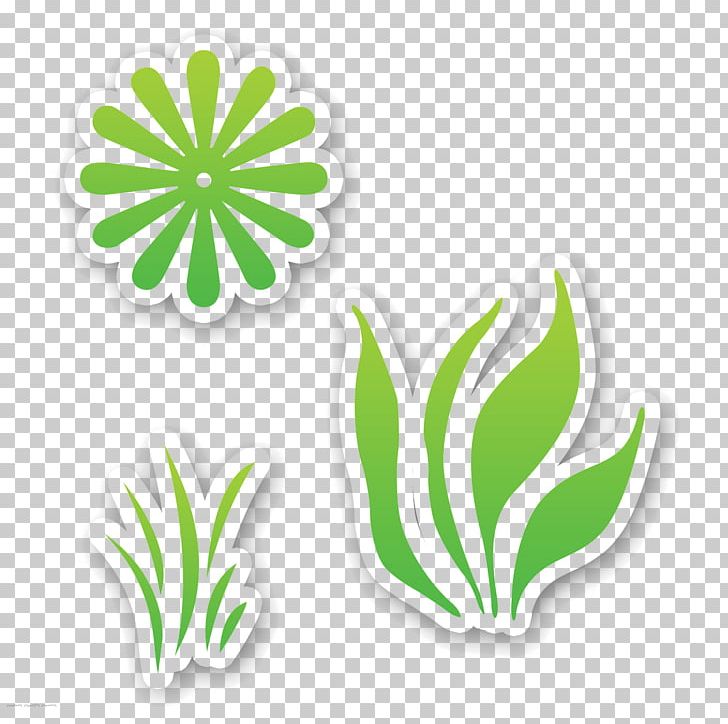 728x724 New Jersey Symbol Logo Cherry Blossom Icon Png, Clipart