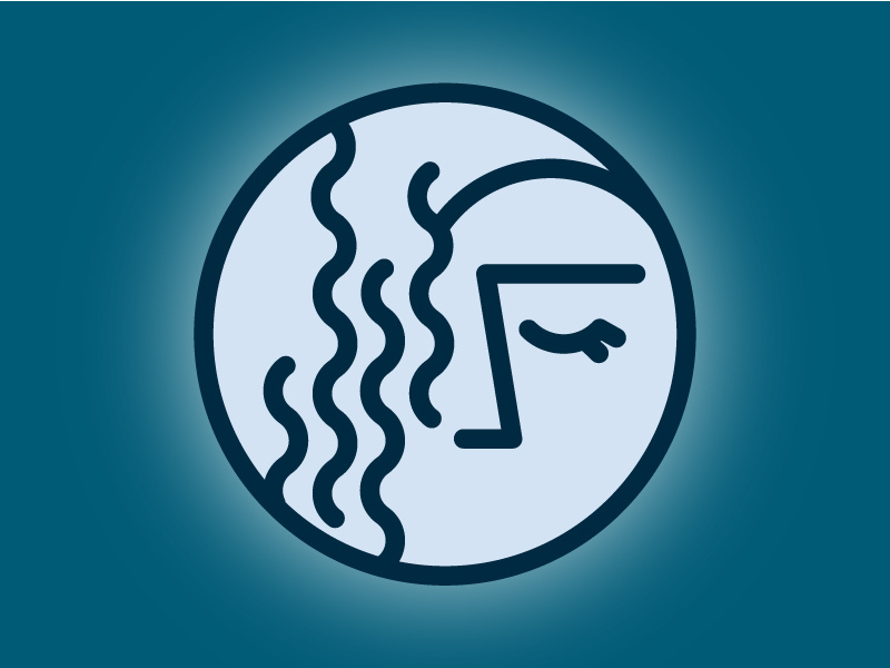 800x600 New Moon Icon