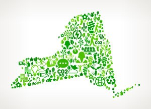 300x216 New York State On Green Environmental Conservation And Nature Icon