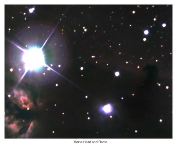 592x510 Newbie Takes A Stab