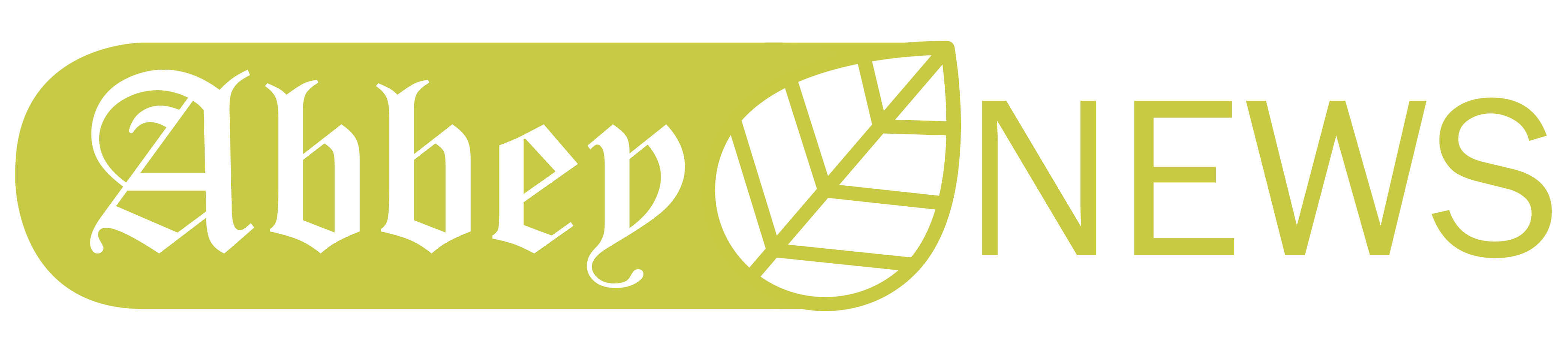 4184x900 Newsletter Icon